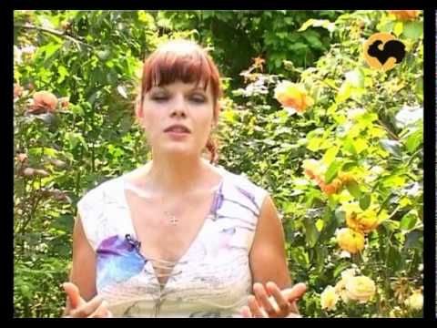 Видео: Розы в Саду. серия 17. Француз 1