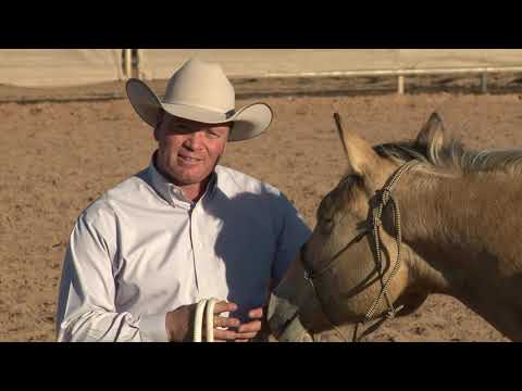 Видео: Кен Макнабб: Подготовка к верховой езде | Подготовка лошади к верховой езде