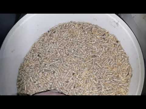 Видео: Экономить на Комбикорме l Экономить на Кроликах l Гатчинский l Раменский l Тосненский l Истренский