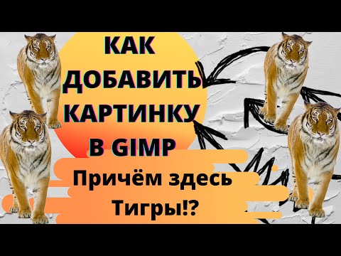 Видео: Как добавить картинку в Gimp / Уроки Gimp для начинающих /для детей/ бесплатный графический редактор