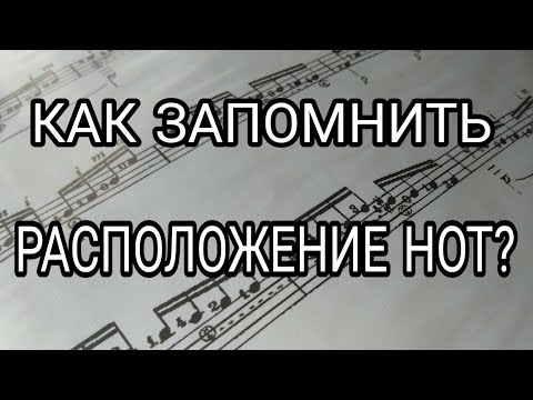 Видео: Как Запомнить Расположение Нот На Нотном Стане?