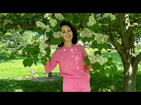 Видео: Мезороллер и японский массаж в одном видео.  #асахи#мезороллер #62#10летмоложе #после60