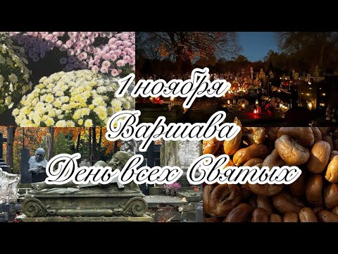 Видео: Польская традиция, свечи, хризантемы и старые Повонзки. #путешествия #традиции #travel #история