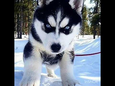 Видео: Лицо под капюшоном-кто ты мне?