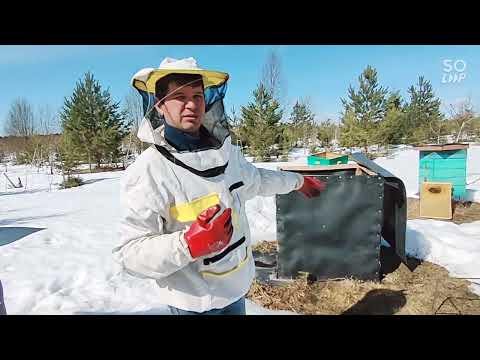 Видео: ВОТ И ВЕСНА НАКОНЕЦ ТО НА ПАСЕКЕ🐻