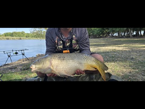 Видео: Моя самая крупная рыба на 11300! Рыбалка удалась!