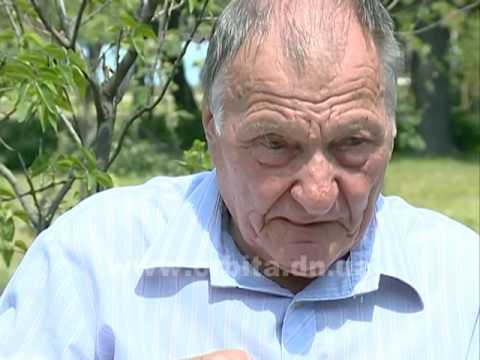 Видео: Не стареют душой ветераны Красноармейского динасового завода