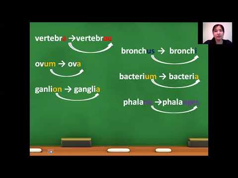 Видео: грамматические категории имени существительного в латинском языке