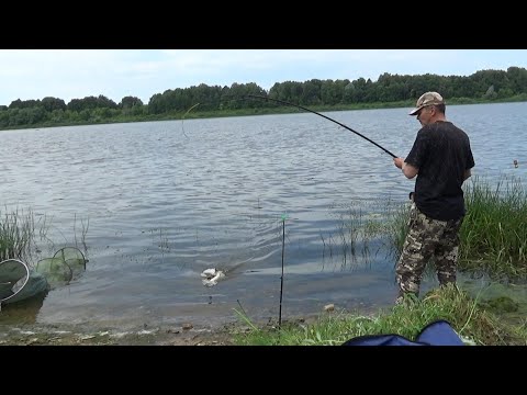 Видео: Петля На Крючке!  Рыбалка в Июле на Леща на Оке 2025! Сало на Леща!