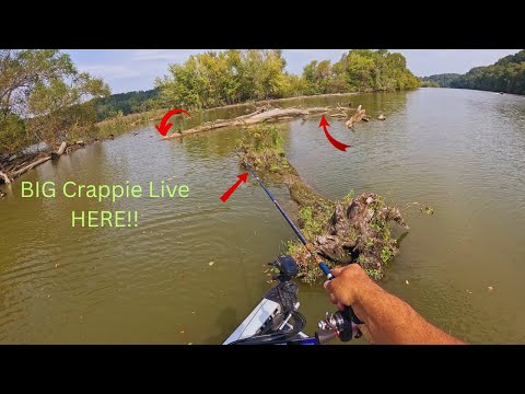 Видео: Ловля краппи в густых зарослях на джиг-удочку!