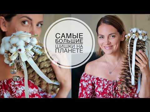 Видео: Убираю СМОЛУ и декорирую САМЫЕ большие шишки в мире / DIY TSVORIC