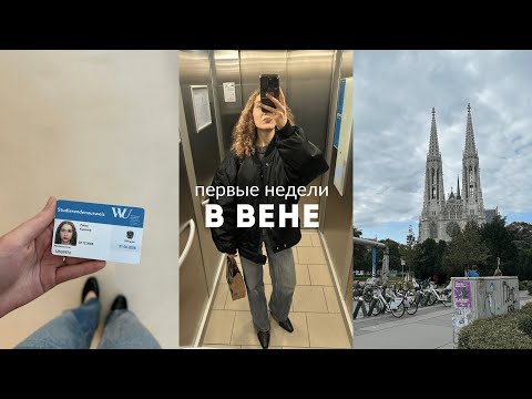Видео: первые недели в Вене | документы, адаптация, прогулки по городу и много встреч