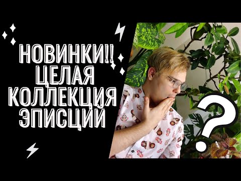 Видео: ПОЛНАЯ КОЛЛЕКЦИЯ ЭПИСЦИЙ// Мои любимые растения.