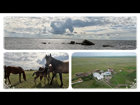 Видео: Озёрное село в Тайыншинском р-не Северо-Казахстанской обл,Краснополянский сельский округ.Спустя год!