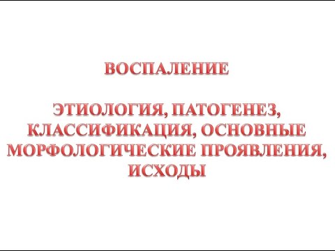 Видео: Воспаление. Общие вопросы