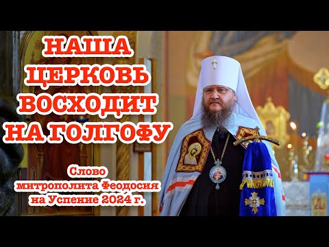 Видео: МИТРОПОЛИТ ФЕОДОСИЙ О БУДУЩЕМ УПЦ