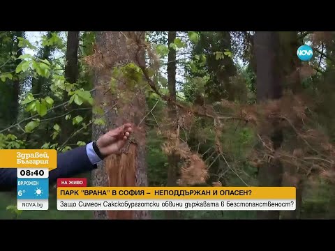 Видео: Загива ли паркът „Врана“? Защо Симеон Сакскобургготски обвини държавата в безстопанственост