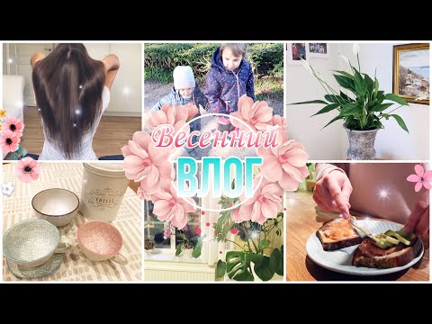 Видео: ВЕСЕННИЙ ВЛОГ 🌱 ПОКУПКИ ДЛЯ ДОМА🛍 НОВАЯ ПРИЧЕСКА 💇🏼‍♀️ ПРОГУЛКА //Alina Lifestyle