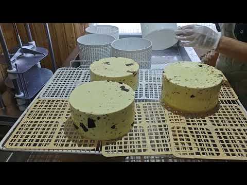 Видео: КАЧОТТА  С ЛЕСНЫМИ ГРИБАМИ