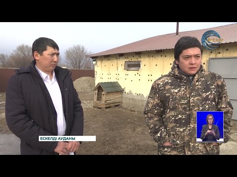 Видео: "Ауыл аманаты" жобасы қарқынды