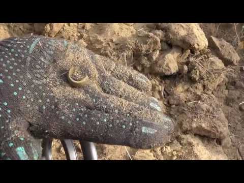 Видео: Коп с Fisher F2 (Фишер Ф2), в помощь начинающим кладоискателям, интересные находки и серебро