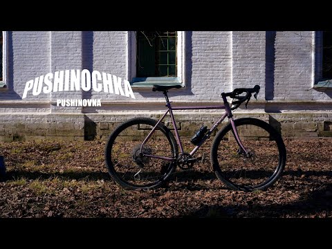 Видео: SURLY ДИМЫ | БАЙКЧЕК