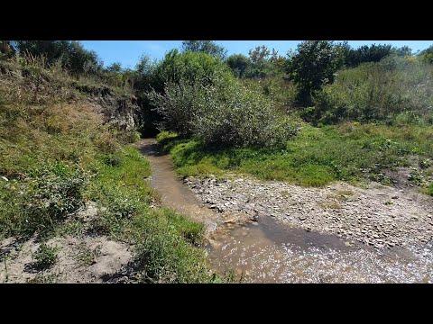 Видео: Посёлок Ясная Поляна предгорного района. Речушка Большой Ессентучок. Белоугольские лесные красоты.