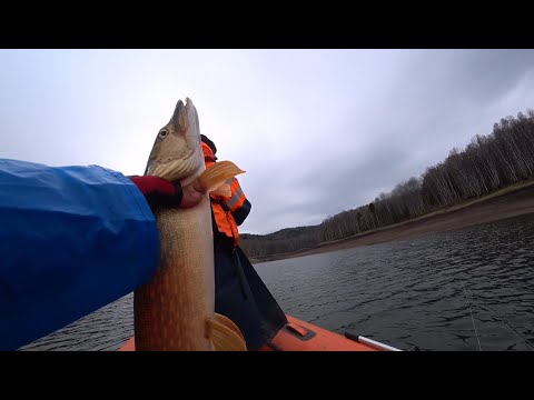 Видео: ОТКРЫТИЕ ЛЕТНЕГО СЕЗОНА НА КВХ! Море окуня!