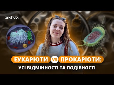 Видео: Еукаріоти VS Прокаріоти: усі відмінності та подібності | ZNOHUB