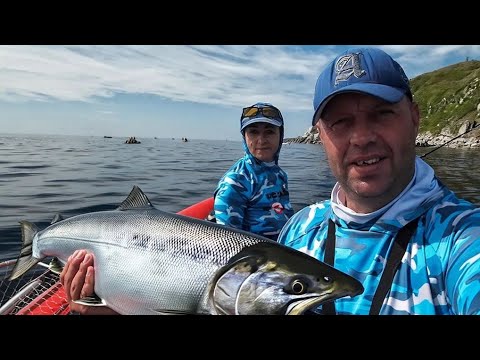 Видео: Встречаем кету .сезон 2025.