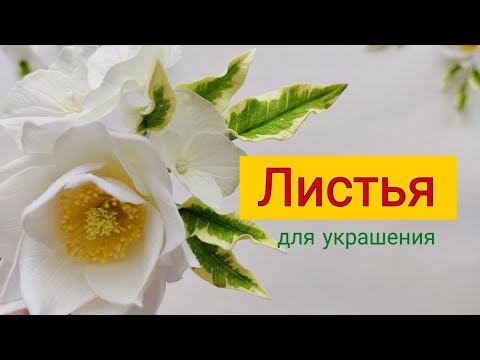 Видео: Как сделать Листья из фоамирана Мастер класс СОЗДАЕМ ВЕНОК. DIY