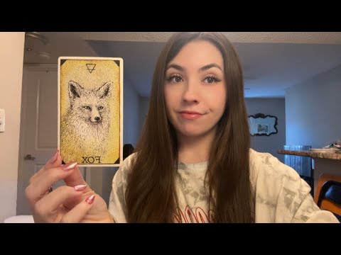 Видео: Они переполнены ВЛЕЧЕНИЕМ к вам 😍 и это начинает вызывать проблемы с ревностью... 😐