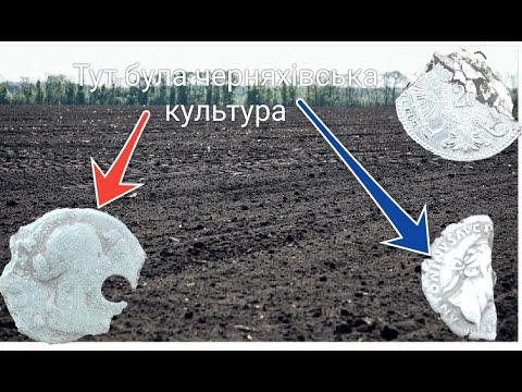 Видео: Тут була черняхівська культура. Знайшов динарії. День радував сріблом. Коп монет 2023 #динарики