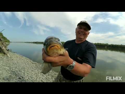 Видео: Рыбалка на сазана на Оби. Август 2019 г.