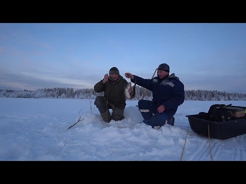 Видео: Проверка поставух на налимов. №3