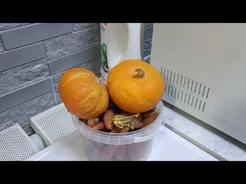 Видео: Влог. 119#наша повседневная жизнь, чем занимаемся.