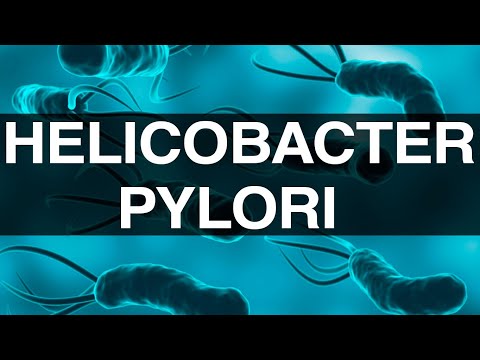 Видео: Helicobacter pylori. Гастрит. Виразка шлунка. Рак шлунка