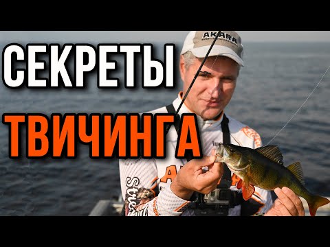 Видео: Секреты твичинга