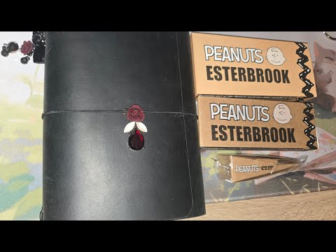 Видео: 🖋️ Перьевая ручка Snoopy к 75-летию + самодельный чехол Gothic Hobonichi Louise Carmen!