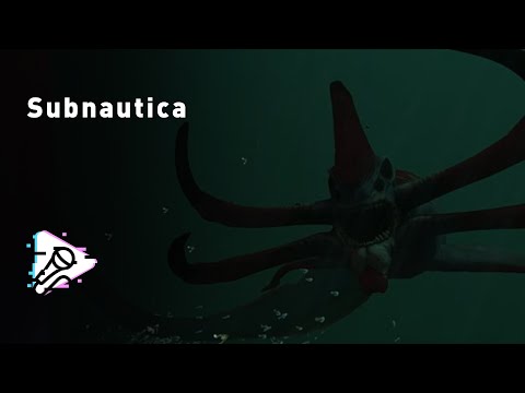 Видео: «купаюс» | HYVER