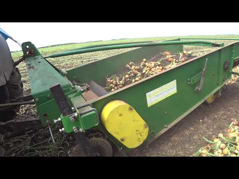 Видео: МТЗ-82 Копаем ранний лук!