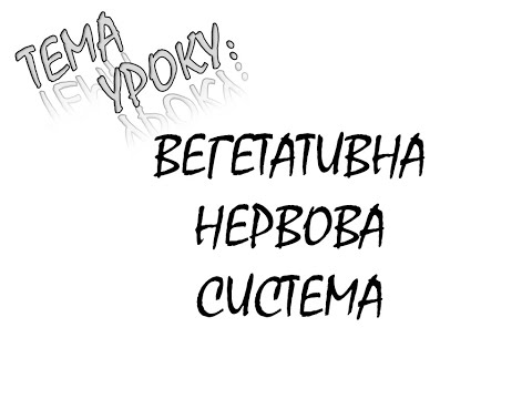 Видео: ВЕГЕТАТИВНА НЕРВОВА СИСТЕМА ЛЮДИНИ