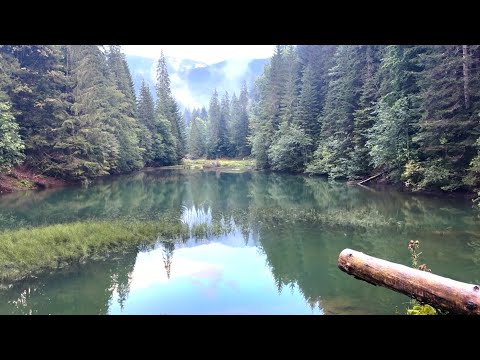 Видео: Одна з найприхованіших гір в Карпатах, куди немає стежки.