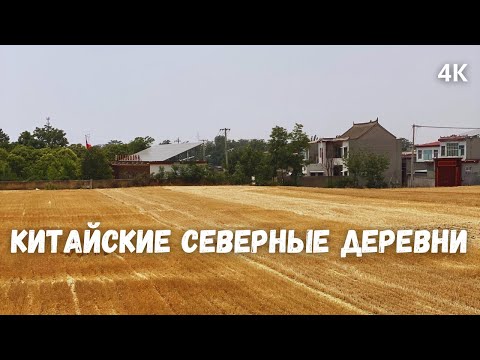 Видео: Китайские деревни 2025 Сады и Фрукты