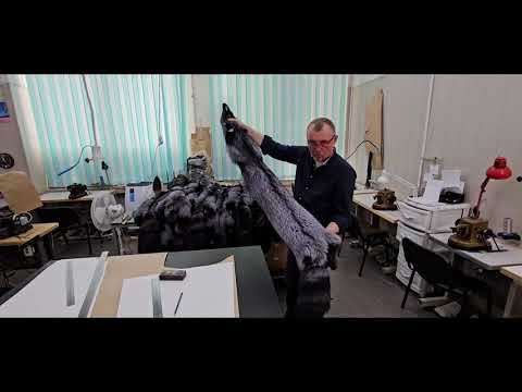 Видео: Начинаем пошив шубы из ЧЕРНОБУРКИ, ЛЕКАЛО