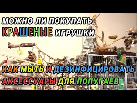 Видео: МОЖНО ЛИ ПОКУПАТЬ КРАШЕНЫЕ ИГРУШКИ ДЛЯ ПОПУГАЕВ | ПОКУПКИ | КАК МЫТЬ ДЕЗИНФИЦИРОВАТЬ НОВЫЕ ИГРУШКИ