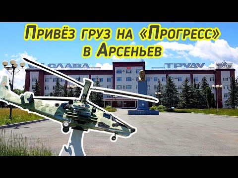 Видео: Приморский край | Арсеньев и его окрестности | Шок от красоты природы