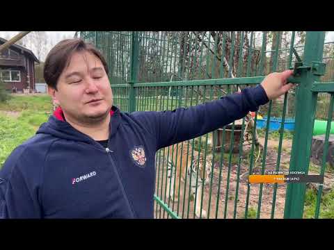 Видео: Тяжелая неделя