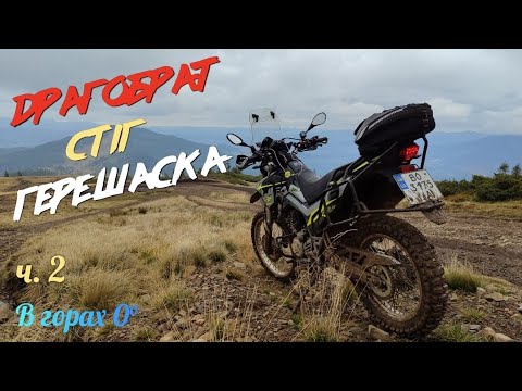 Видео: Карпати в хмарах.  Мотопідйом: Драгобрат-Стіг-Герешаска 🏍️💨. ч.2  Зима в горах ☁️❄️Багнюка