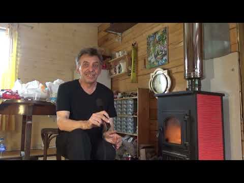 Видео: 2025, дела текущие